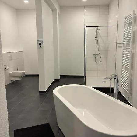 Luxus Geniessen - Spa-apartment Mit Terrasse Reichenbach-Steegen